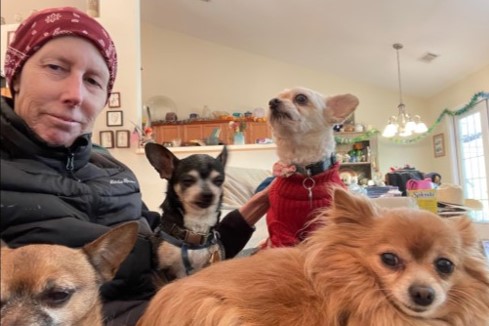 with dogs